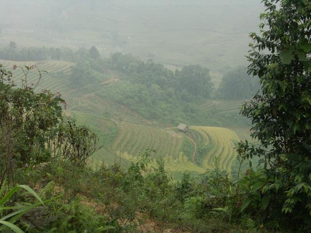 Urlaub in Vietnam 2007